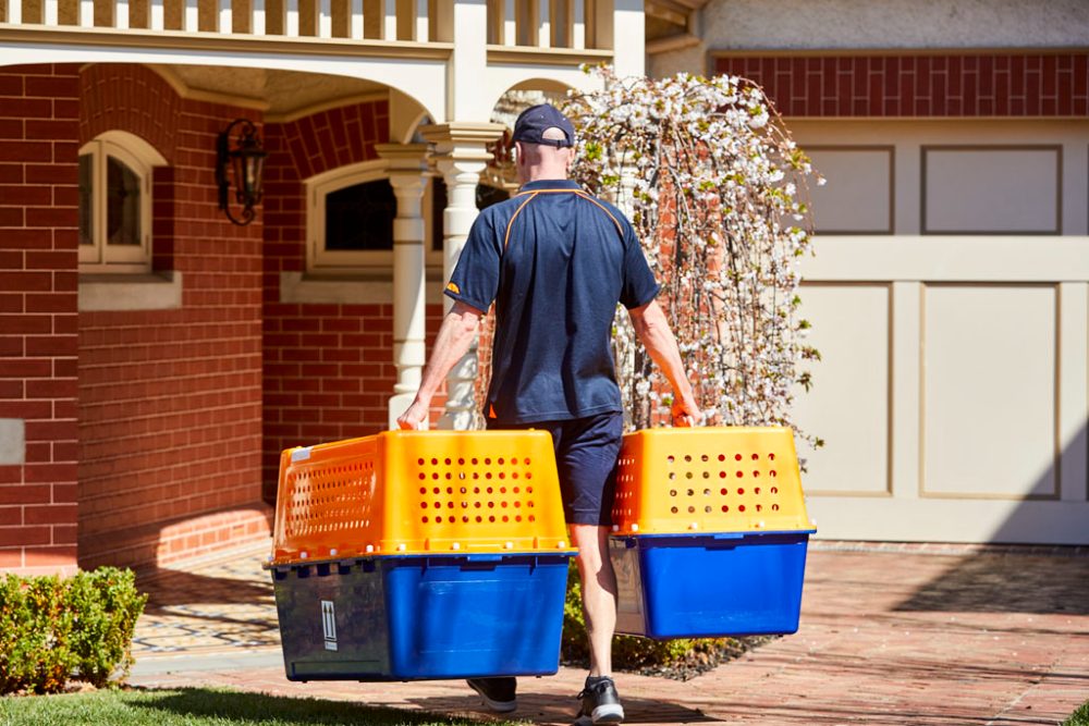 A Pet Express team member carrying two travel crates up to a home.
