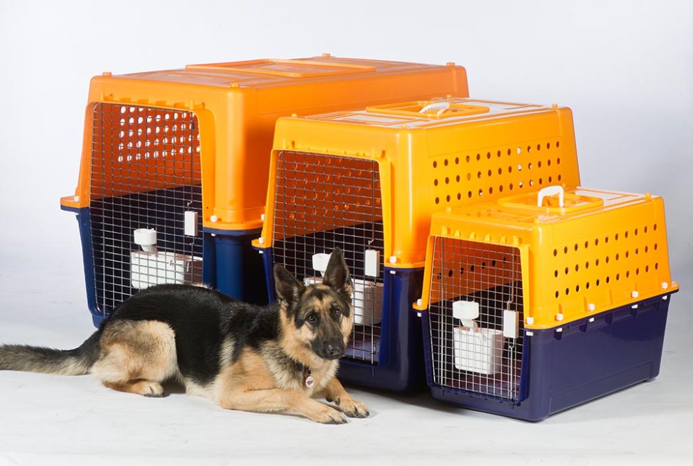 A German Shepherd beside three airline-approved travel crates in different sizes.