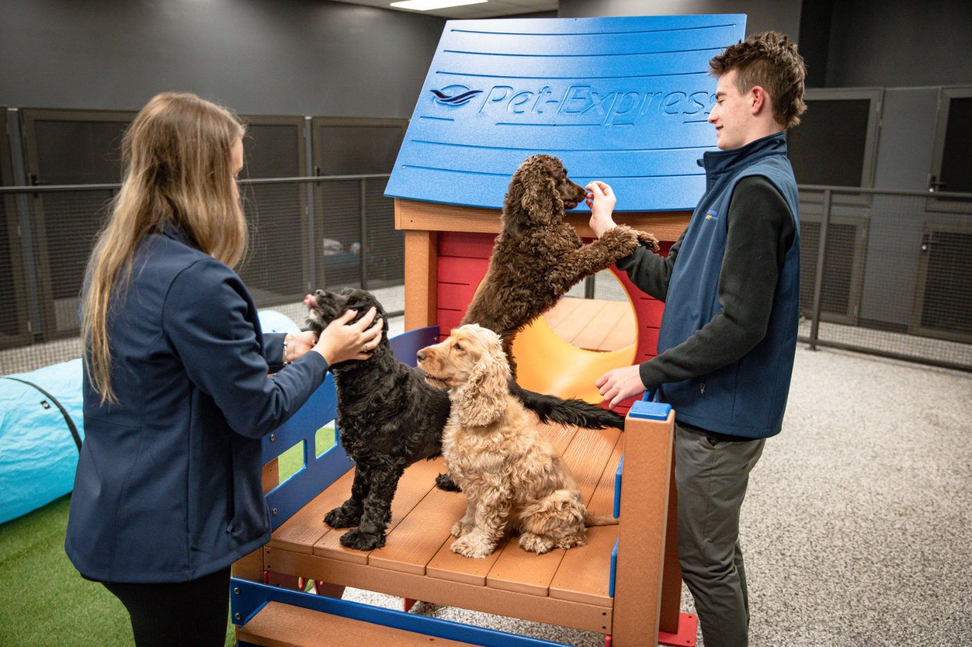 Pet Express team members caring for dogs on a play frame at the pet care facility.